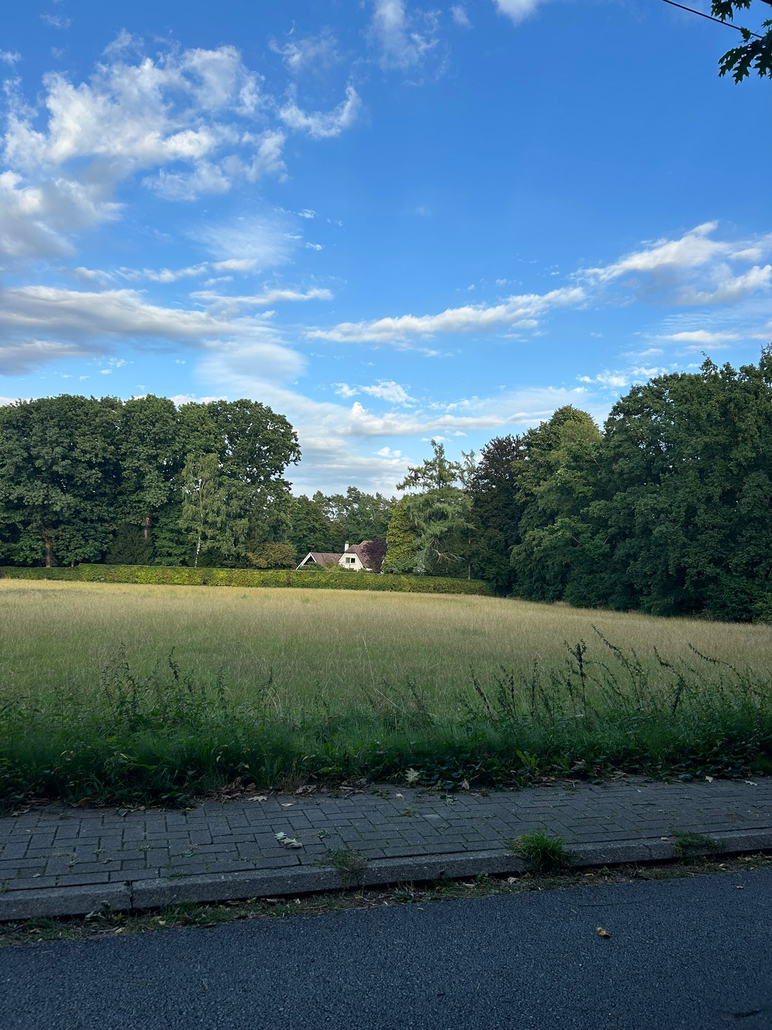 OCMW-grond opgesplitst voor verkoop en sociale woningbouw